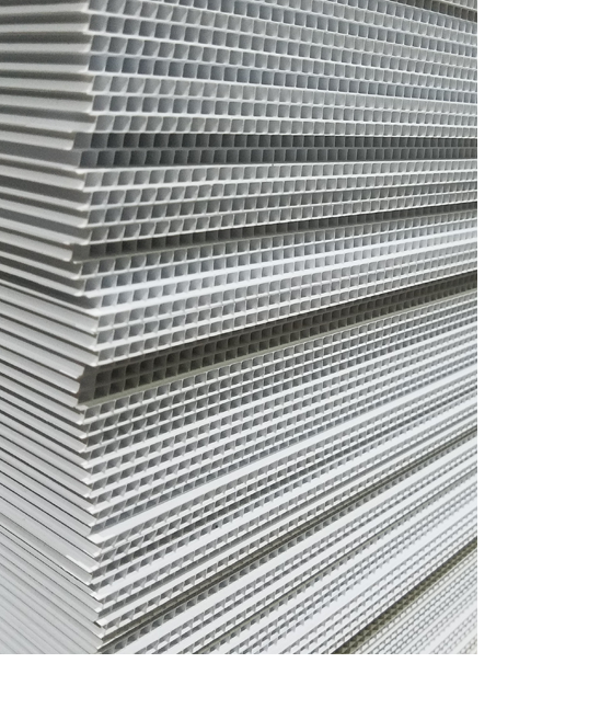 Layer